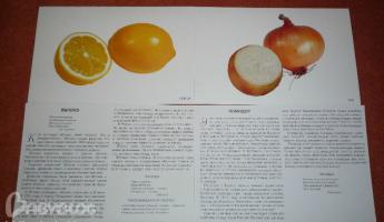 Приложение Плодове и плодове от хартия
